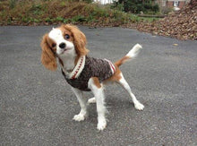 Load image into Gallery viewer, Boyfriend Dog Sweater