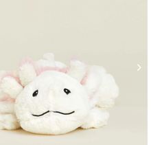 Load image into Gallery viewer, Warmies RB