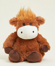 Load image into Gallery viewer, Warmies RB