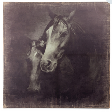 Load image into Gallery viewer, &quot;Unbridled&quot; Canvas Print
