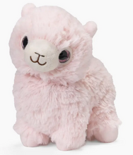 Load image into Gallery viewer, Warmies RB