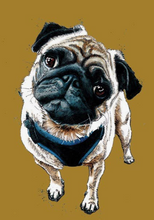 Load image into Gallery viewer, Animal art prints
