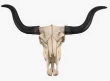 Load image into Gallery viewer, Long Horn Cow Skull Wall Hanging Longhorn Steer

