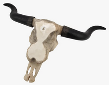 Load image into Gallery viewer, Long Horn Cow Skull Wall Hanging Longhorn Steer
