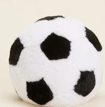 Load image into Gallery viewer, Warmies RB