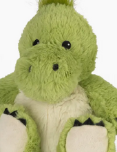 Load image into Gallery viewer, Warmies RB