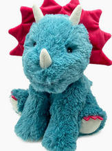 Load image into Gallery viewer, Warmies RB