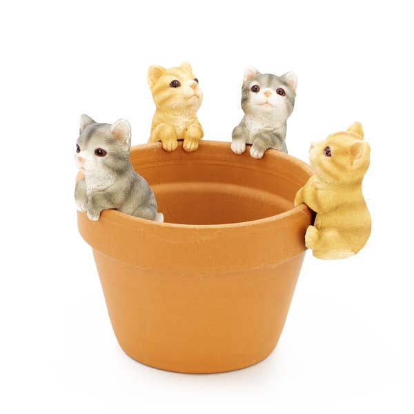 Md Cat