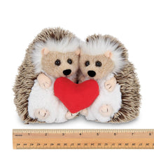 Load image into Gallery viewer, Lovie &amp; Dovey the Hedgehogs
