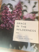 Load image into Gallery viewer, Study Books Daily Grace
