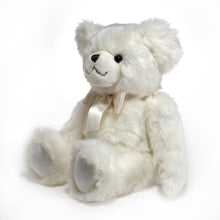 Load image into Gallery viewer, Aspen the Teddy Bear
