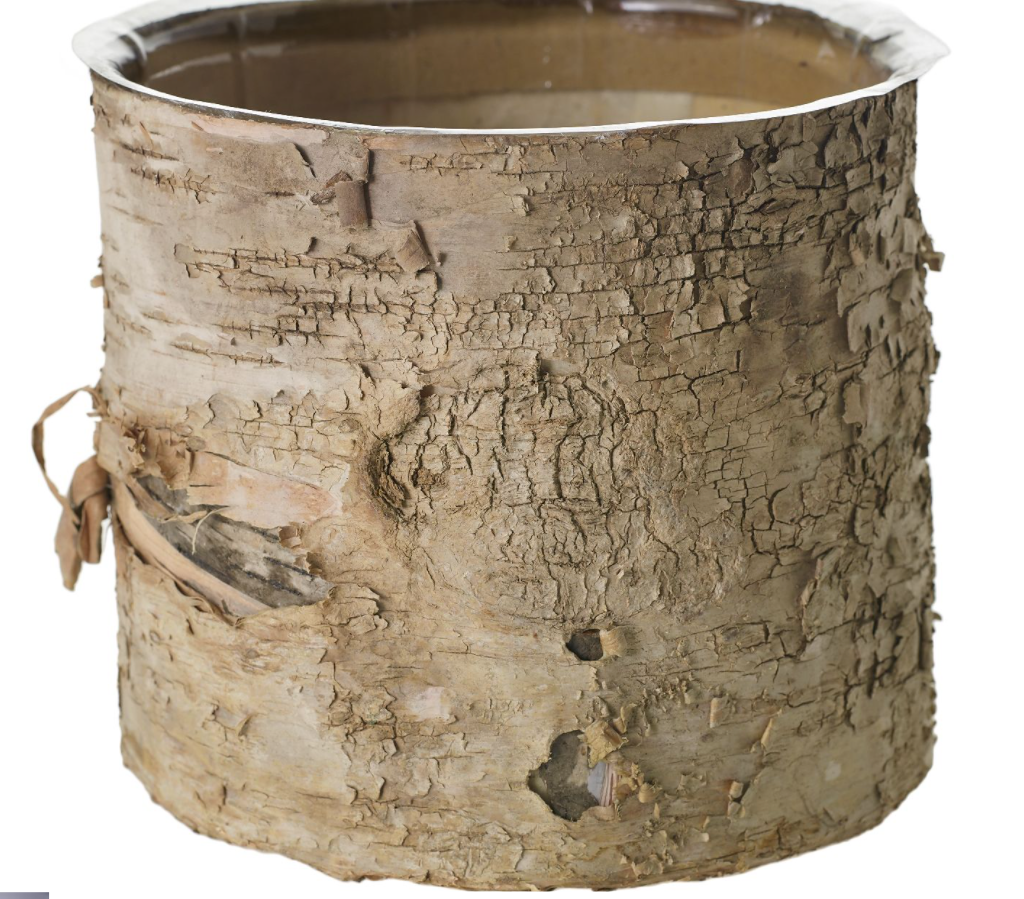 Birch Pots