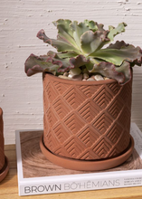 Load image into Gallery viewer, Mittani Terracotta Pot
