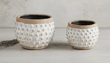 Load image into Gallery viewer, Polka Dot Planter Pot
