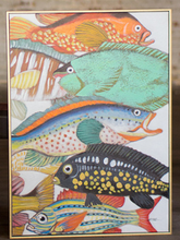Load image into Gallery viewer, Colorful Fish Oil Paintings with Gold Frames
