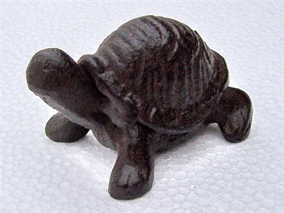 MINI TURTLE