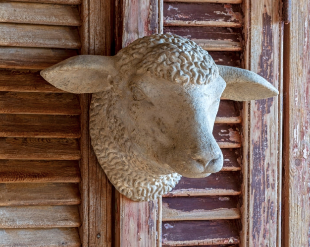 Decorative Weathered Sheep's Head