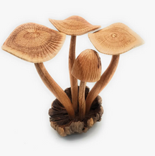 Load image into Gallery viewer, Hand Carved Extra Large Wooden Magical Mushroom
