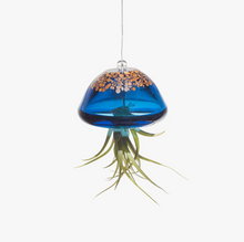 Load image into Gallery viewer, Jellyfish Hand Blown Art Glass Air Plant Holder (no plants)
