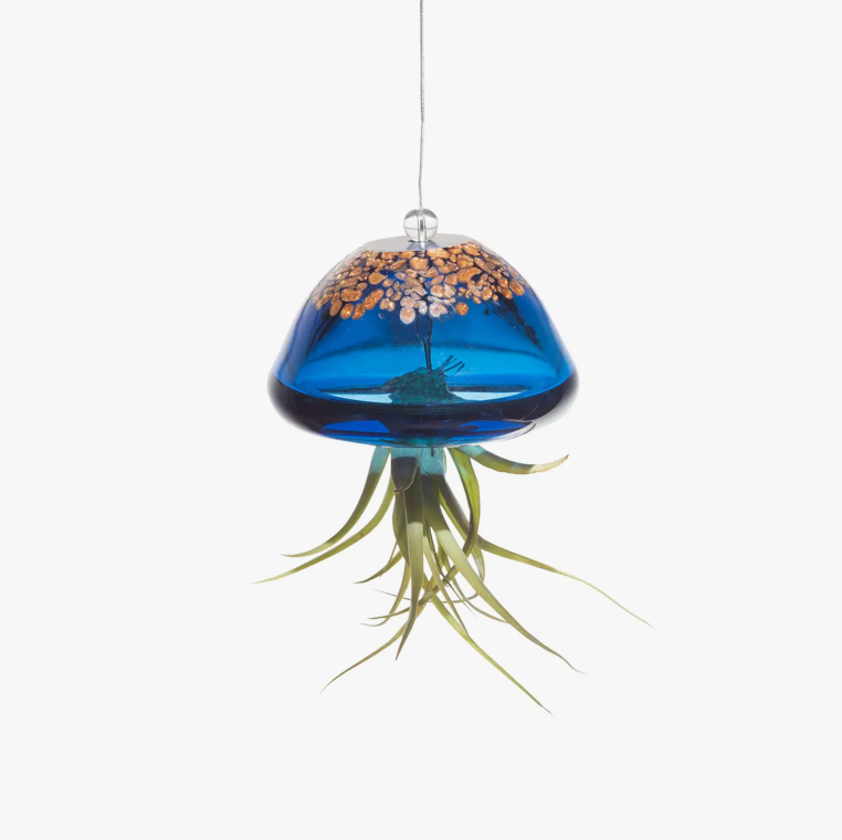 Jellyfish Hand Blown Art Glass Air Plant Holder (no plants)