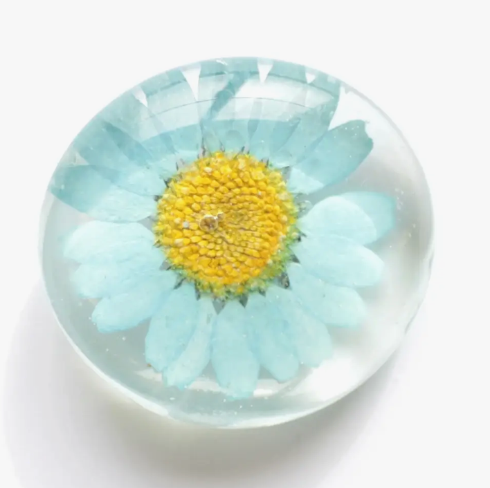 Real Flower Magnets