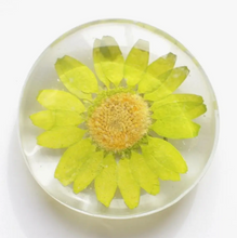 Load image into Gallery viewer, Real Flower Magnets
