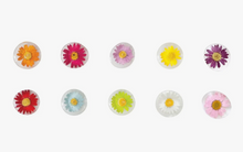 Load image into Gallery viewer, Real Flower Magnets
