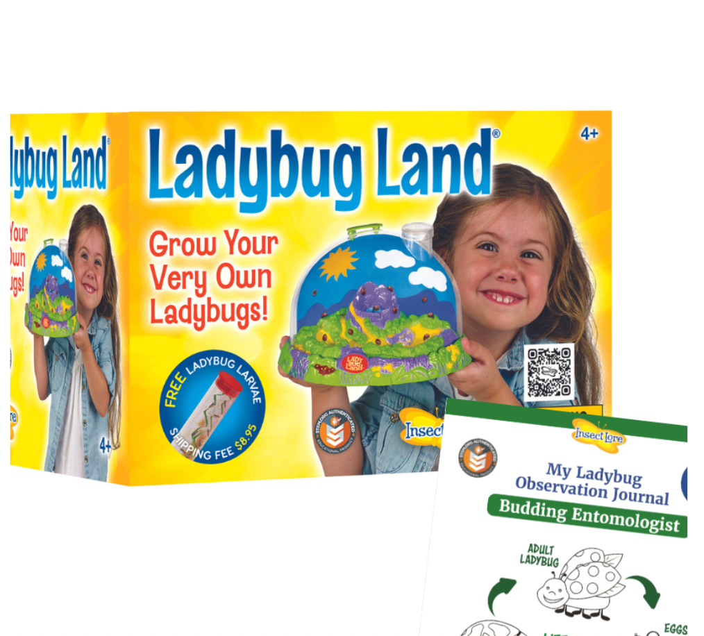 Ladybug Land with Voucher