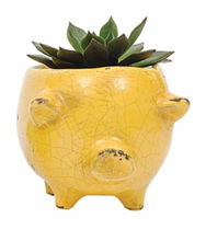 Load image into Gallery viewer, Terracotta Pig Planter
