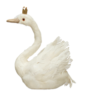 Foam & Feather Swan w/ Crown & Glitter, White