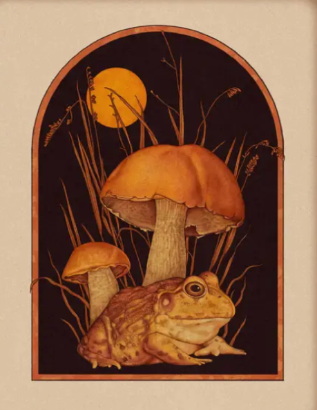 Bullfrog & Mushrooms Art Print